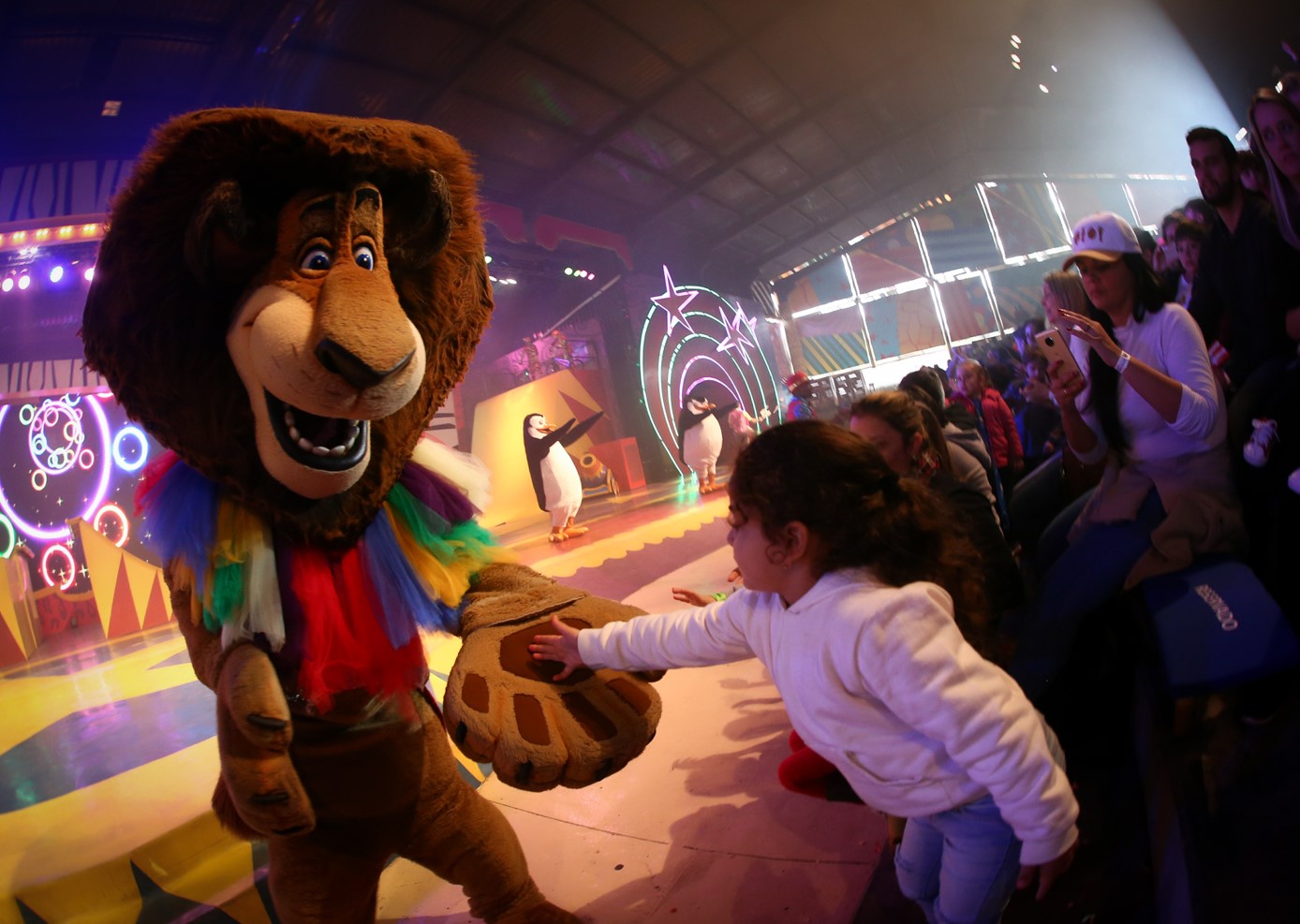Show Circo Madagascar